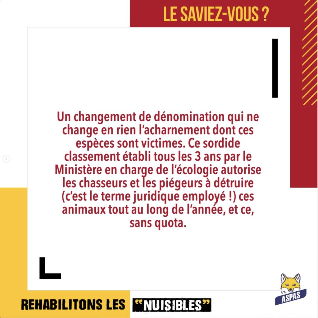 Sensibilisation autour des "nuisibles"