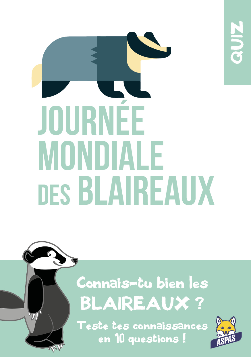 Connais-tu bien les blaireaux ?