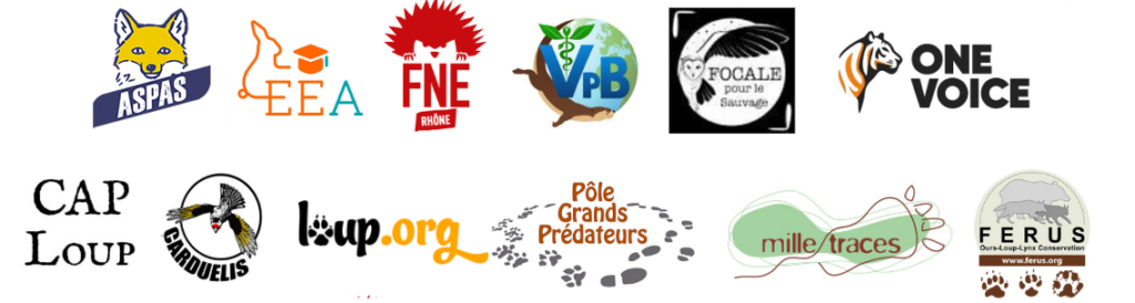 avec les loups : participez à la journée spéciale ce 15 novembre à lyon ! 1 Avec les loups : participez à la journée spéciale ce 15 novembre à Lyon !