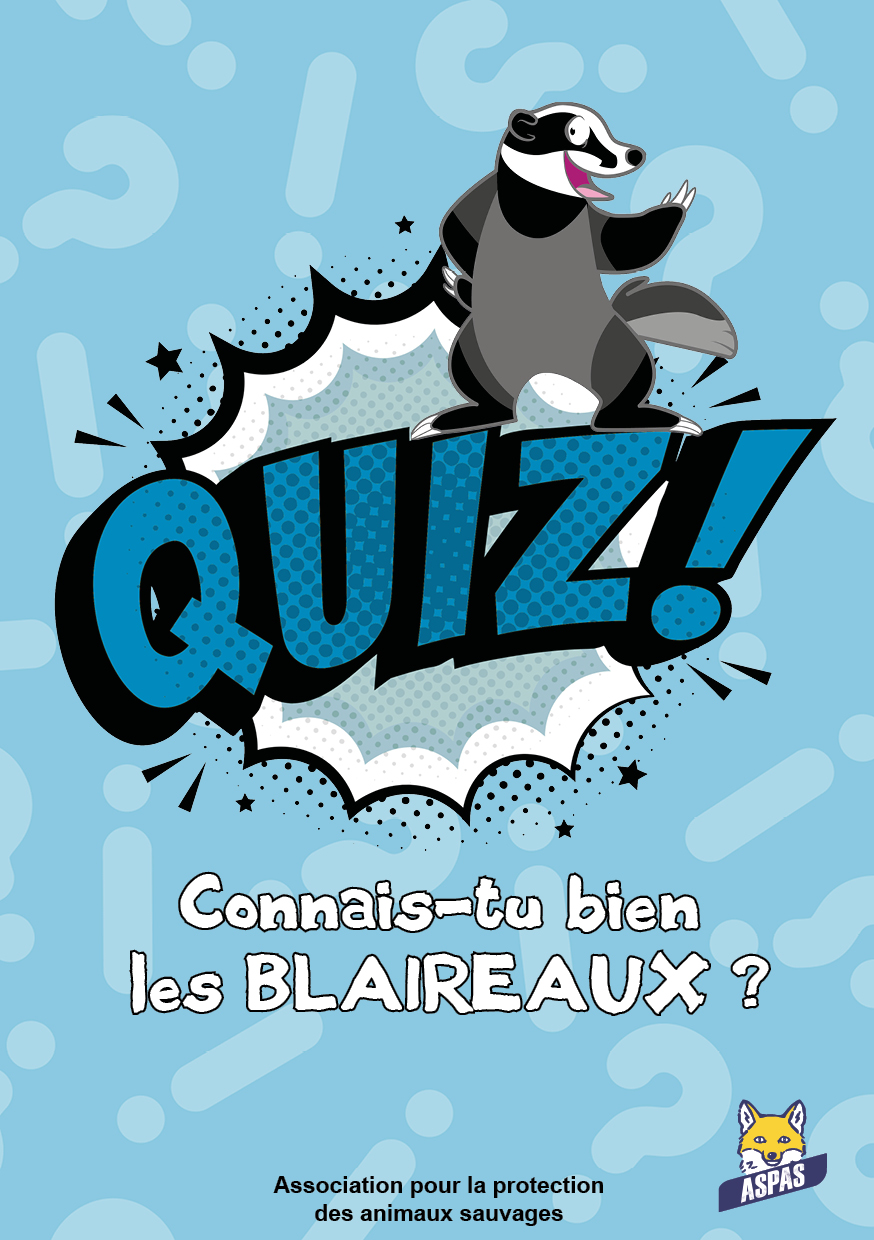 Connais-tu bien les blaireaux ?