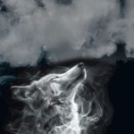 Loup retiré des espèces protégées en France : AVIS 100% DÉFAVORABLE ! 