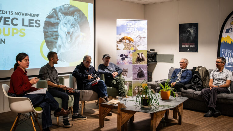 Et si on remettait la science au cœur du débat sur le loup ?