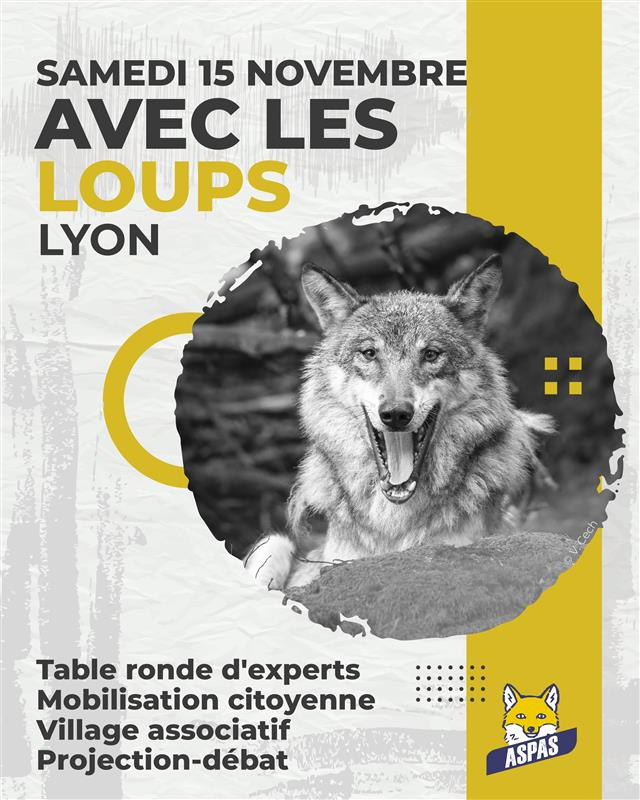 avec les loups : participez à la journée spéciale ce 15 novembre à lyon ! 2 Avec les loups : participez à la journée spéciale ce 15 novembre à Lyon !