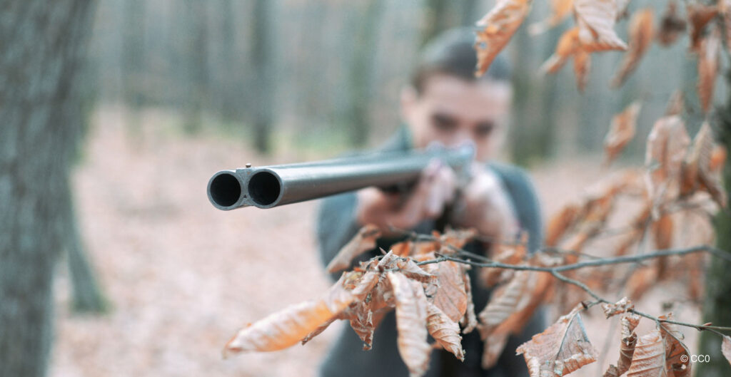 L'année 2025 de l'ASPAS : une année de succès pour les animaux sauvages !