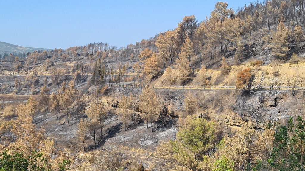 La chasse enfin interdite dans les bois incendiés de l’Aude !