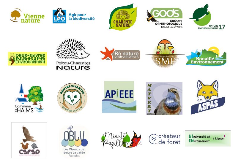 Renard : 20 associations demandent son retrait des "ESOD" en Poitou-Charentes