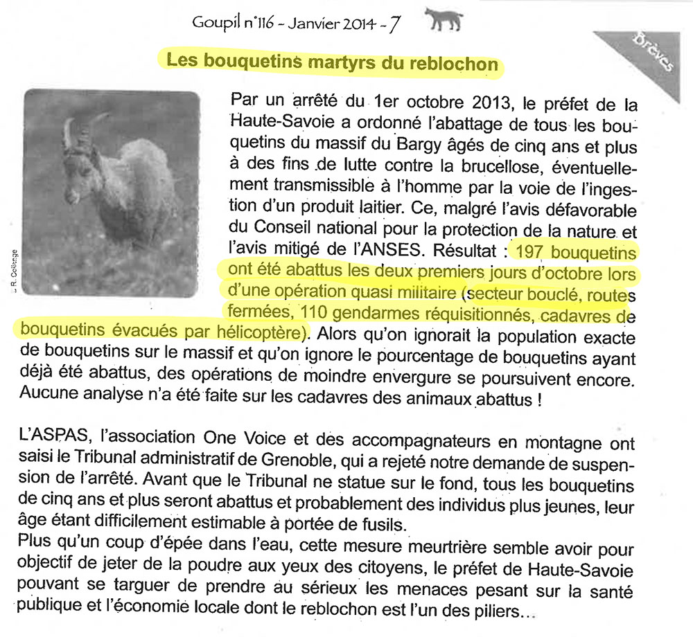 En 2013, l'ASPAS déjà aux côtés des bouquetins martyrs du reblochon... 