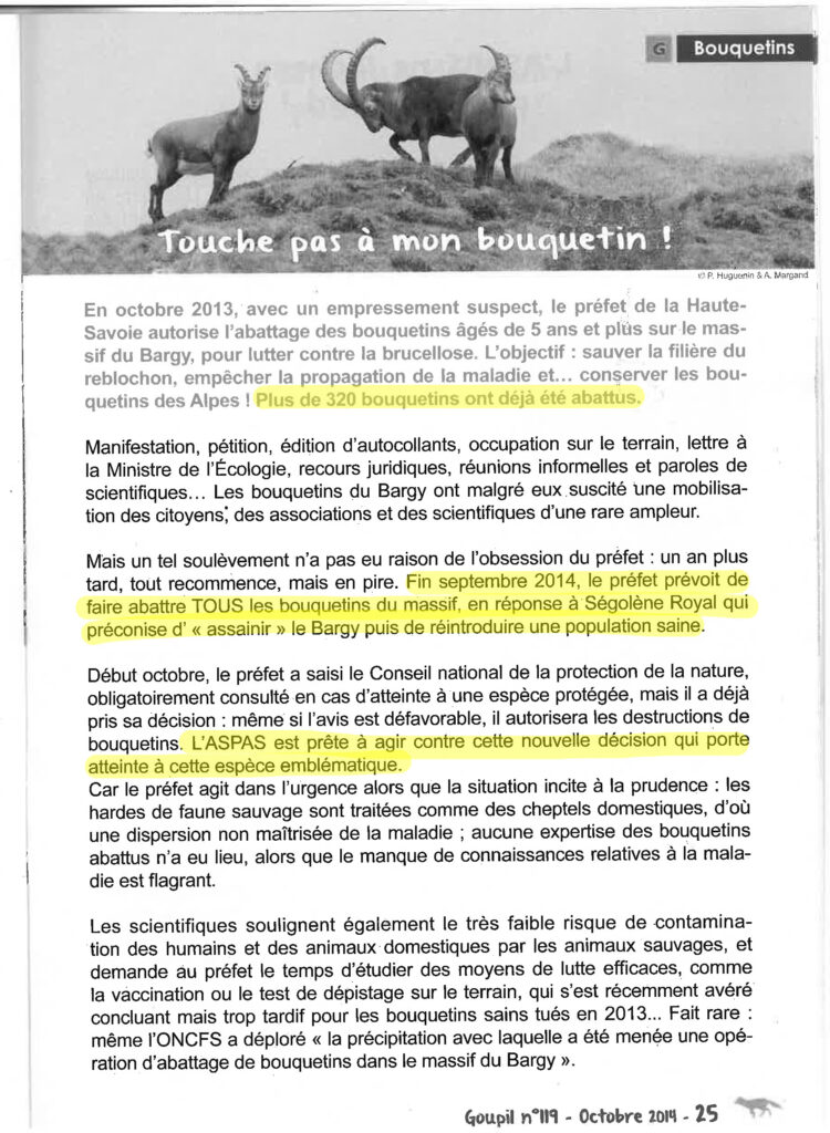 En 2013, l'ASPAS déjà aux côtés des bouquetins martyrs du reblochon... 