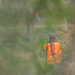 Joggeuse blessée par un chasseur dans le Jura : l’État a sa part de responsabilité !