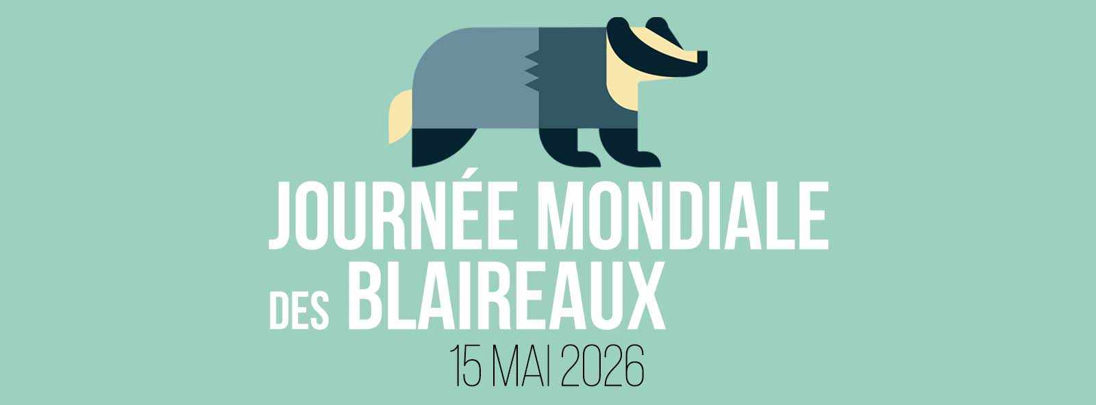 Le 15 mai, c'est la Journée mondiale des blaireaux !