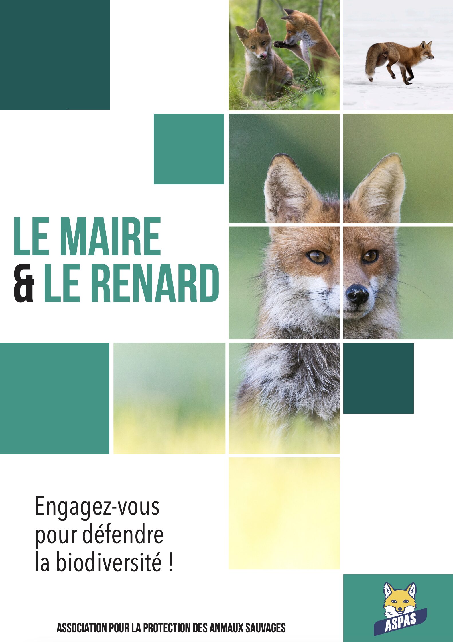 Guide “Le maire et le renard”