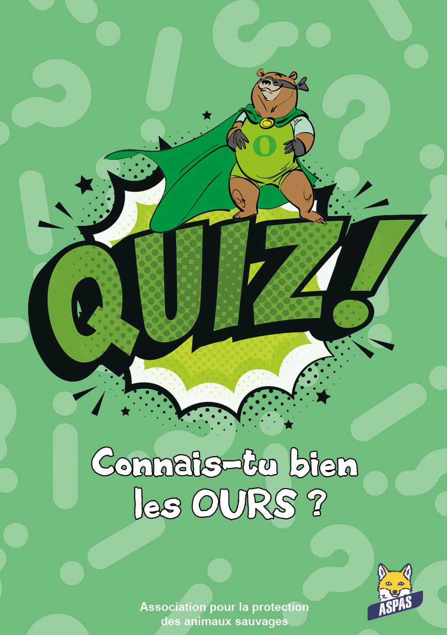 Connais-tu bien les ours ?