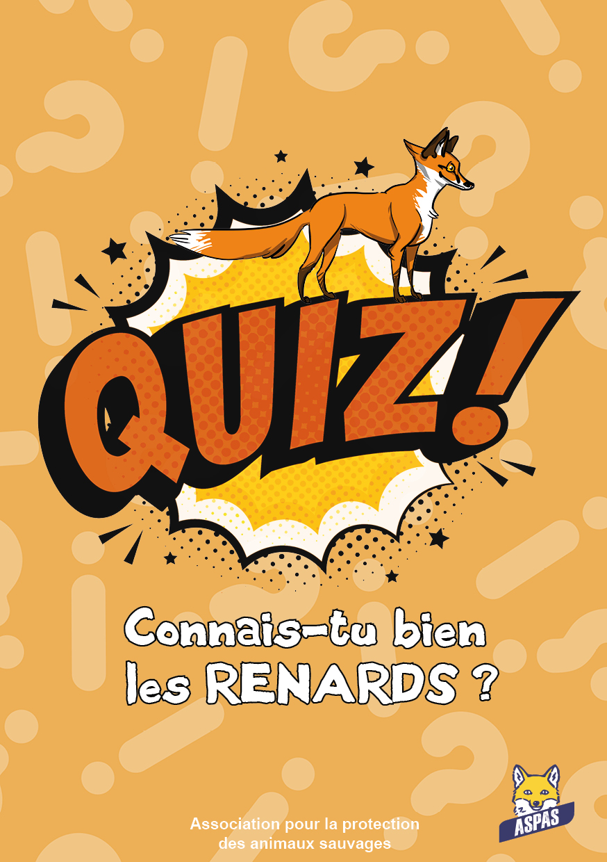 Connais-tu bien les renards ?
