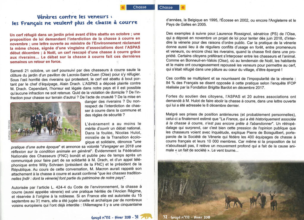 vénères contre les veneurs : les français ne veulent plus de chasse à courre 1 Vénères contre les veneurs : les Français ne veulent plus de chasse à courre