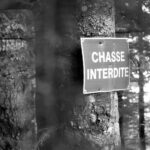 Loi Verdeille : les chasseurs bientôt exclus de nos jardins !