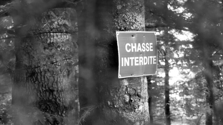 loi verdeille : les chasseurs bientôt exclus de nos jardins ! 2 Loi Verdeille : les chasseurs bientôt exclus de nos jardins !
