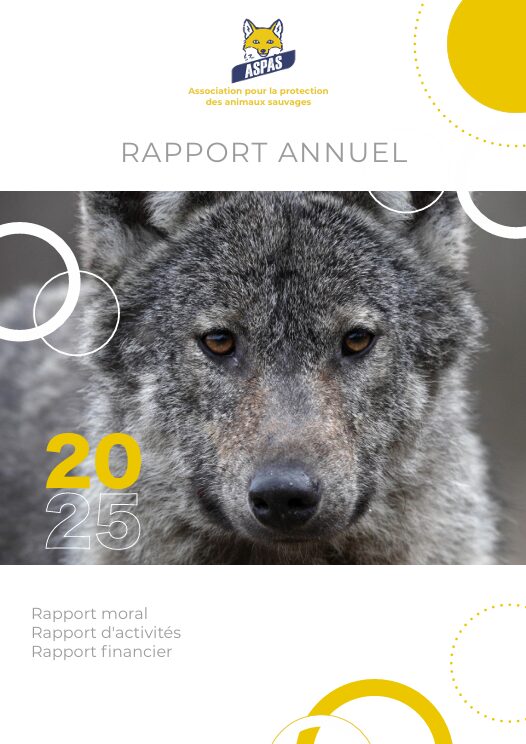 Rapport annuel 2025