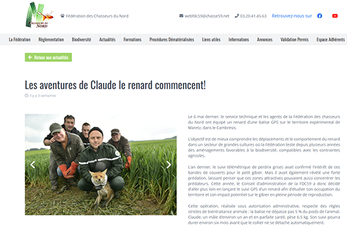 Des chasseurs gracient un renard... pour mieux massacrer l’espèce entière