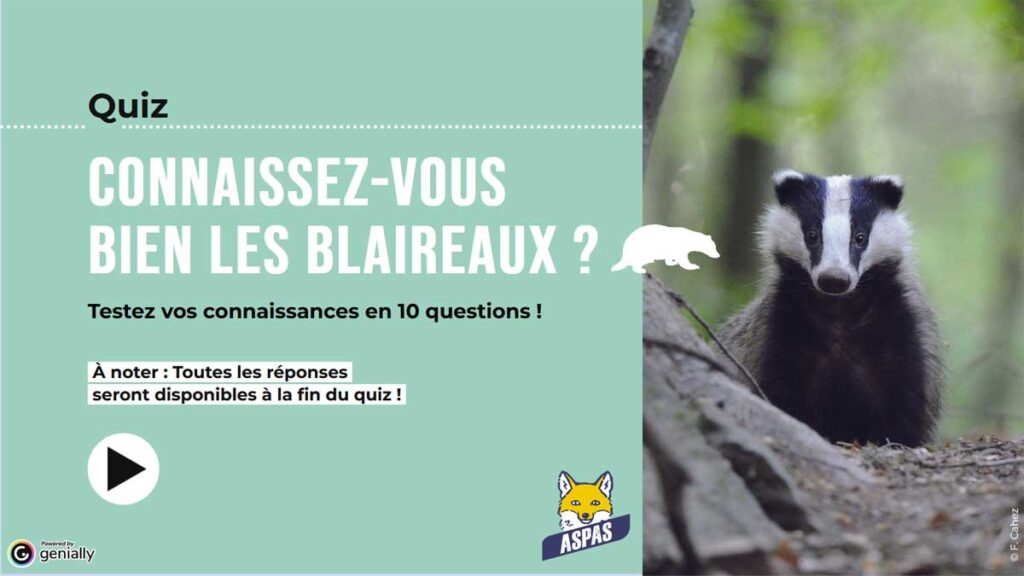 Nos quiz interactifs