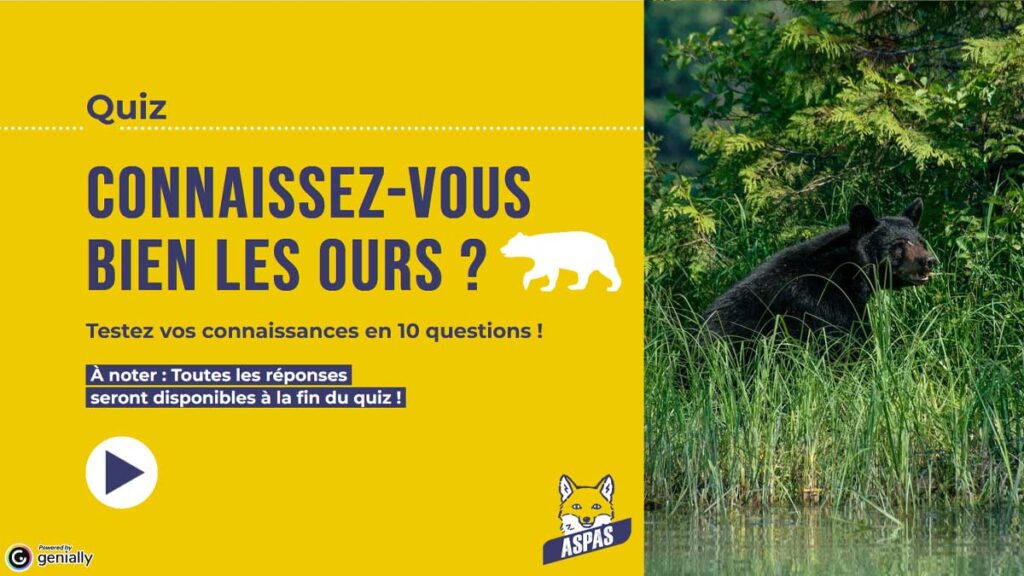 Nos quiz interactifs