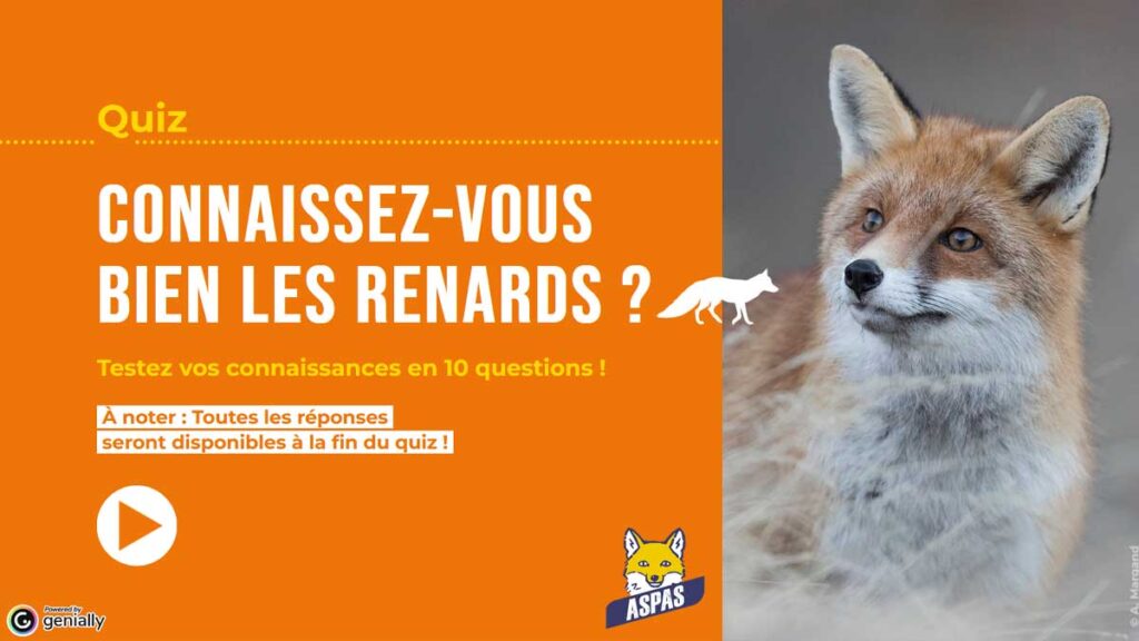 Nos quiz interactifs