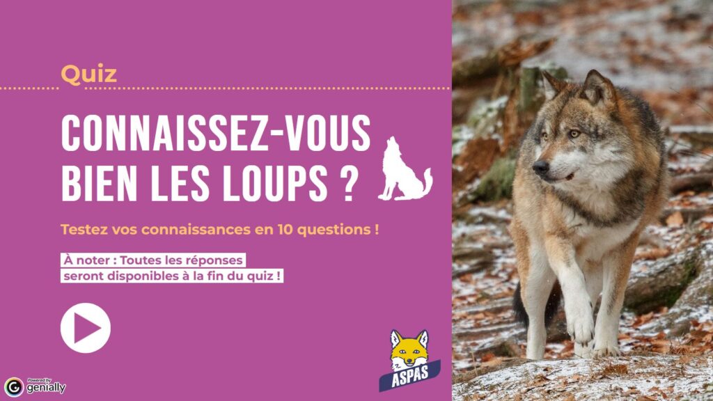 Nos quiz interactifs