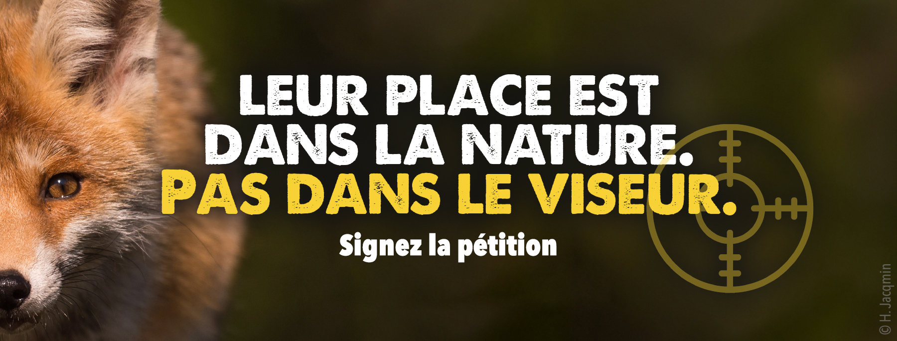 Signez la pétition de l'ASPAS pour les renards !