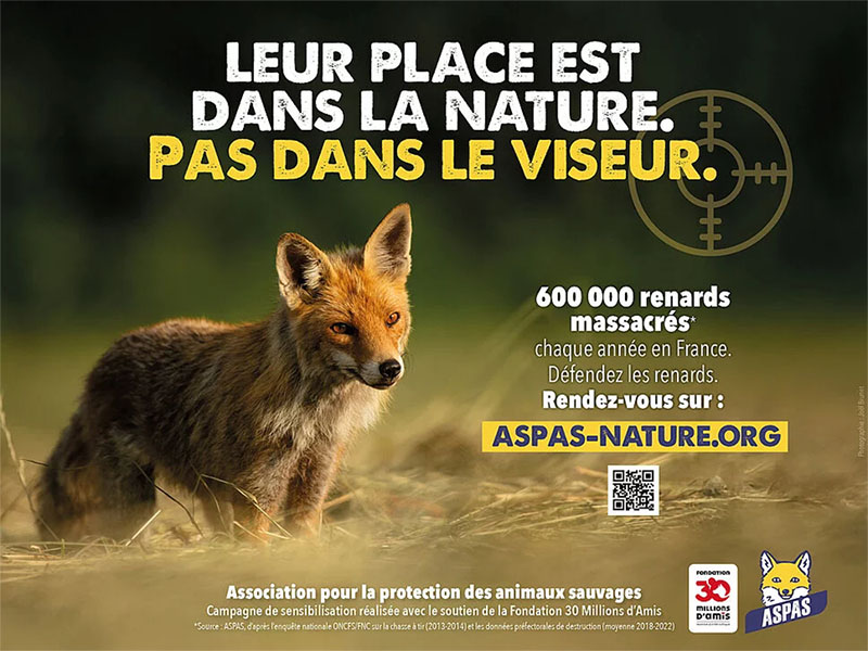 ALERTE : les renards envahissent le métro parisien !