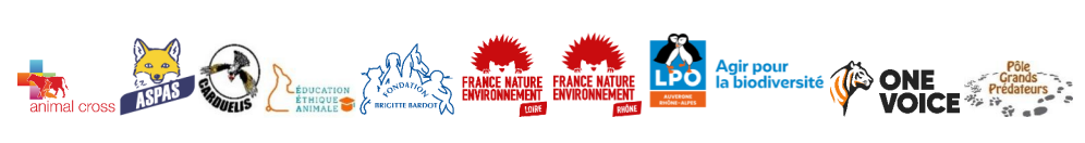 le loup s’installe dans le rhône : plutôt que de l’exclure, préparons la cohabitation 1 Le loup s’installe dans le Rhône : plutôt que de l’exclure, préparons la cohabitation