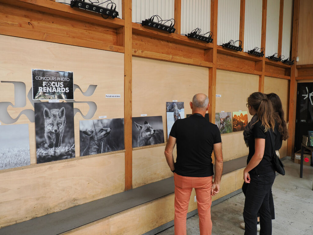 avec les renards : beau succès pour la journée interassociative à rouen ! 7 Avec les renards : beau succès pour la journée interassociative à Rouen !