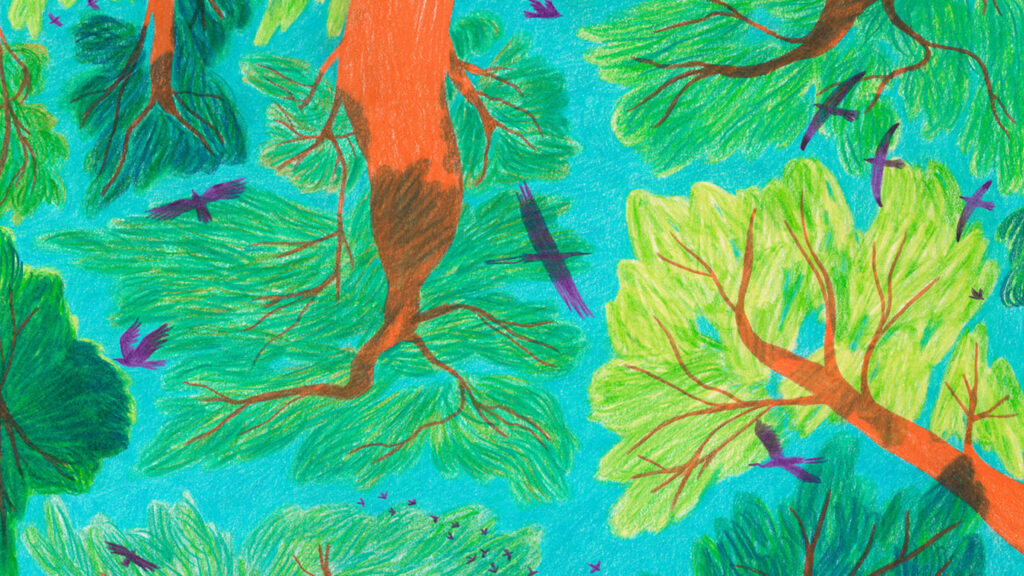 Colloque sur la libre évolution : et si on laissait faire la nature ?