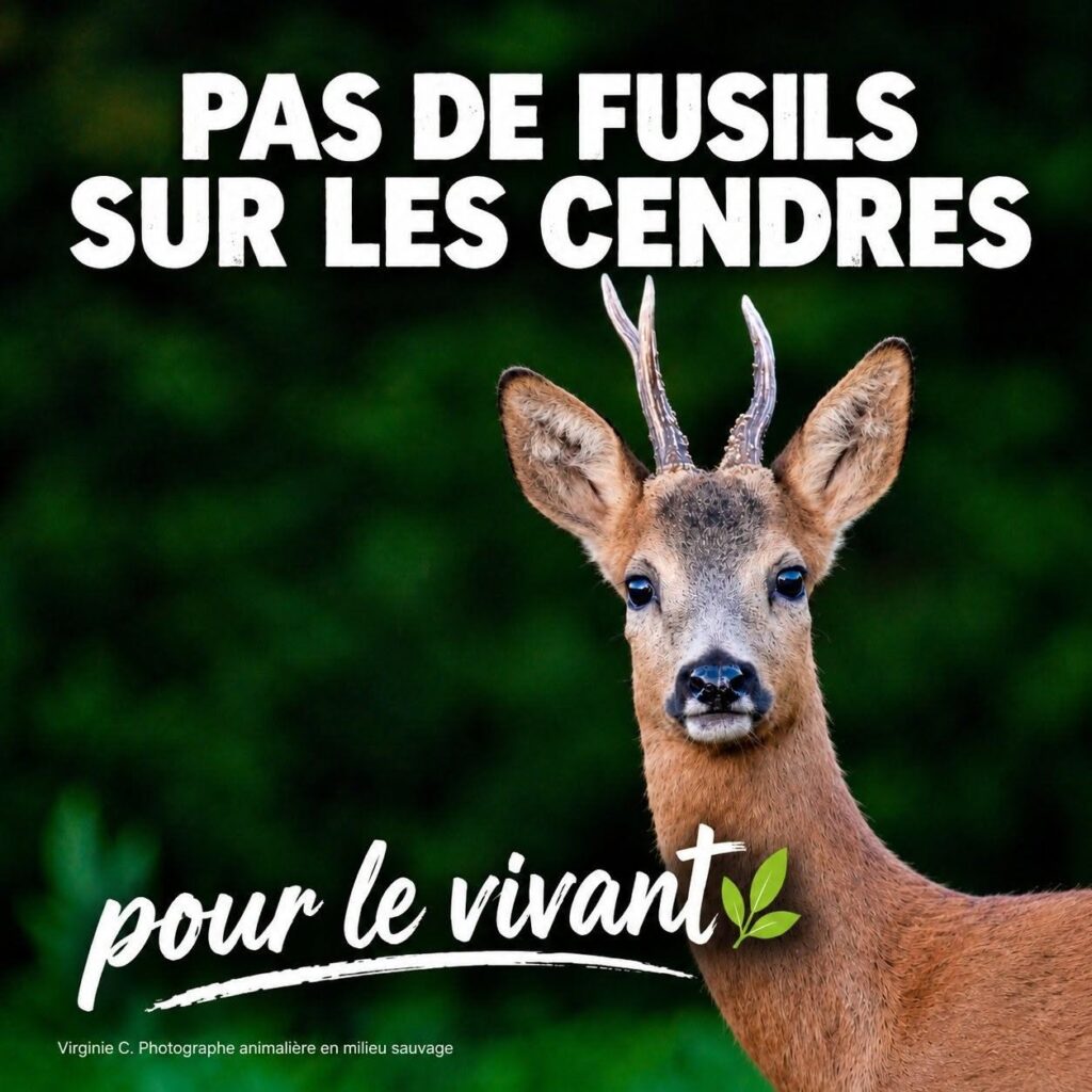 503 000 signatures et une mobilisation le 24 octobre à Paris