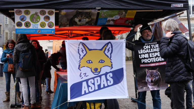 ç'aspas près de chez vous ! nos évènements d'octobre 2026 1 Ç'ASPAS près de chez vous ! Nos évènements d'octobre 2026