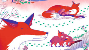suis-du-doigt-le-renard Suis du doigt le renard