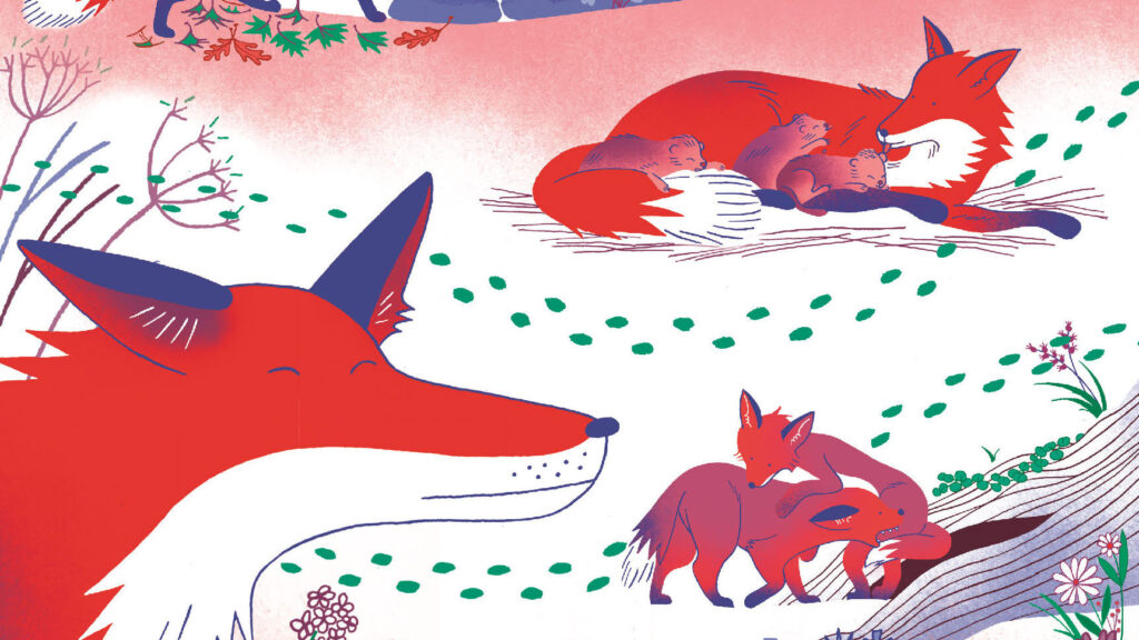 "Suis du doigt le renard", un livre en partenariat avec l'ASPAS