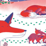 "Suis du doigt le renard", un livre en partenariat avec l'ASPAS