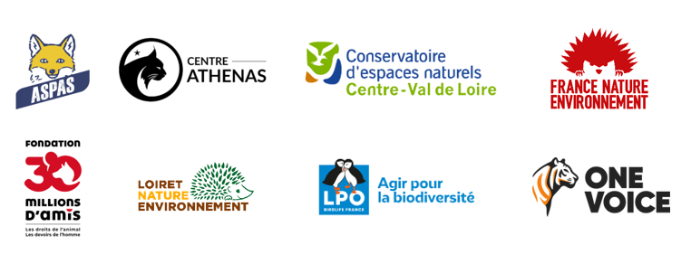 Enclos de chasse d’Olivier Bouygues : le tribunal reconnaît la gravité des atteintes à la biodiversité