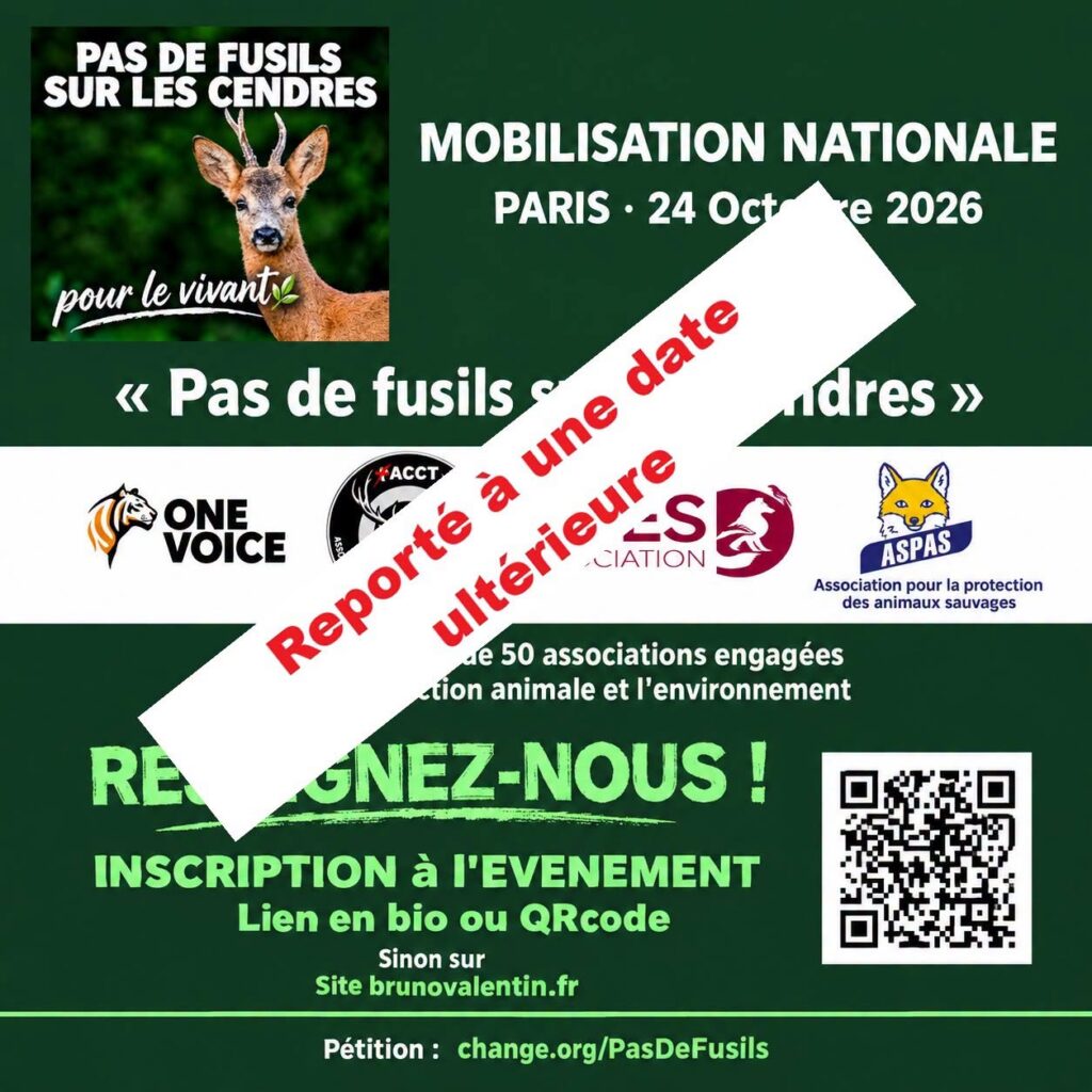 "pas de fusils sur les cendres" : marche du 24 octobre reportée ! 1 "Pas de fusils sur les cendres" : marche du 24 octobre reportée !