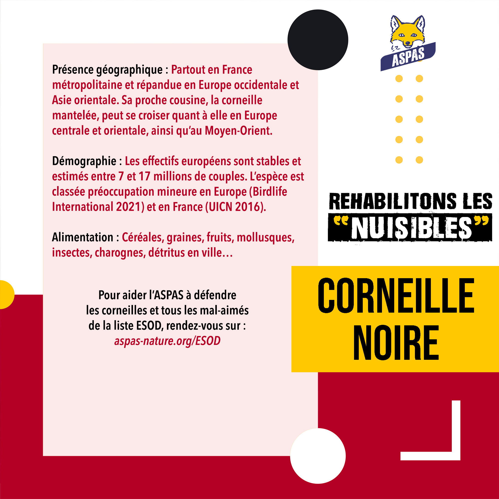 CI-Corneille2