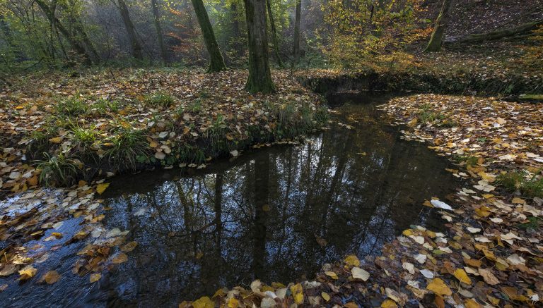 Et si vous créiez votre propre réserve naturelle ?