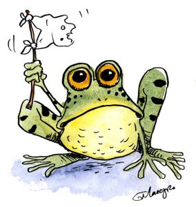 Nous, les amphibiens, appelons à votre rescousse !