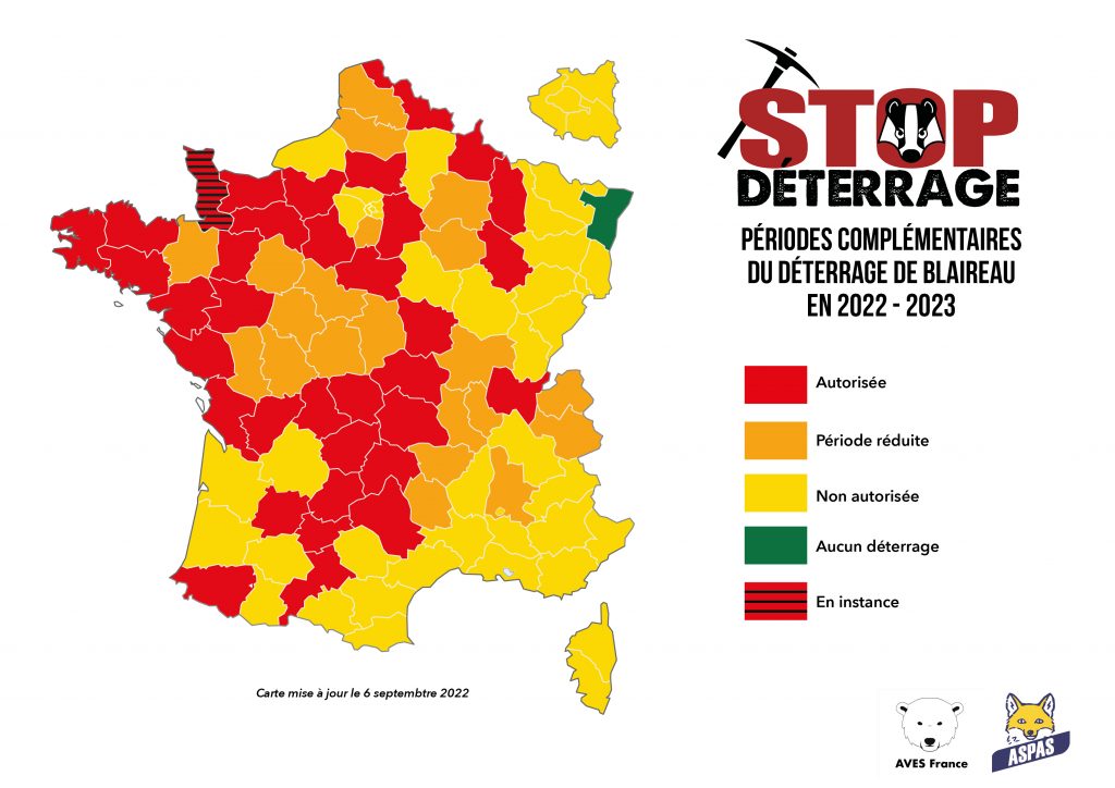 Déterrage de blaireaux : la carte de France de l’horreur