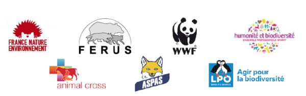 Capture d’écran 113