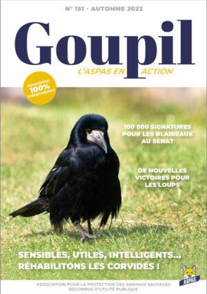 Couv-Goupil151-web