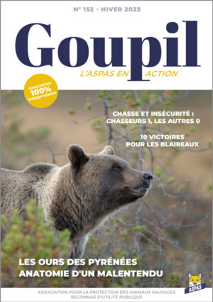 Goupil-NL01-23