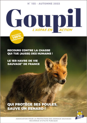 Goupil-NL10-23