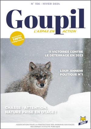 Goupil156-NL.01.24