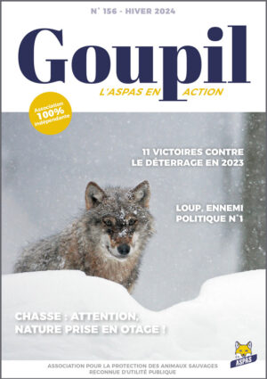 Goupil156-NL.01.24