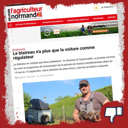 Pour « L’agriculteur normand », la voiture est « un prédateur du blaireau »…