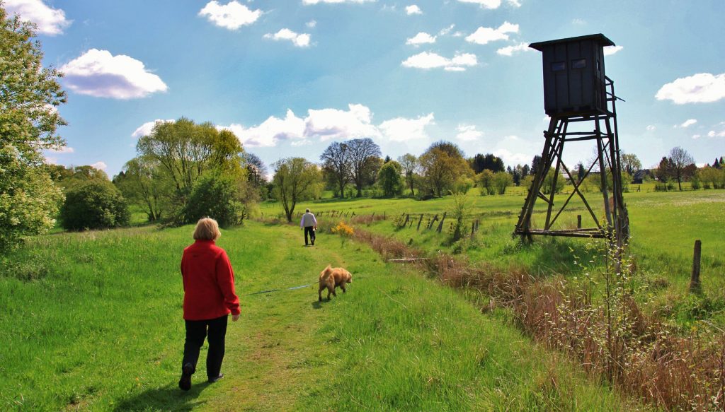 Chasse : attention, nature prise en otage !